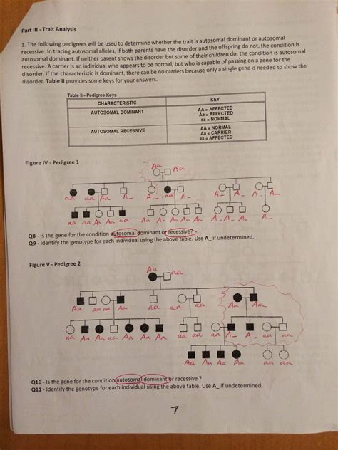 Label the genotypes of as many individuals in the pedigree as possible. Key- PEDIGREE ANALYSIS WORKSHEET - Mrs. Paulik's Website