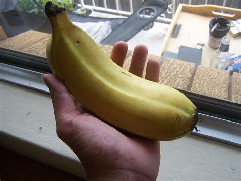 Little Australia: A Double-Banana