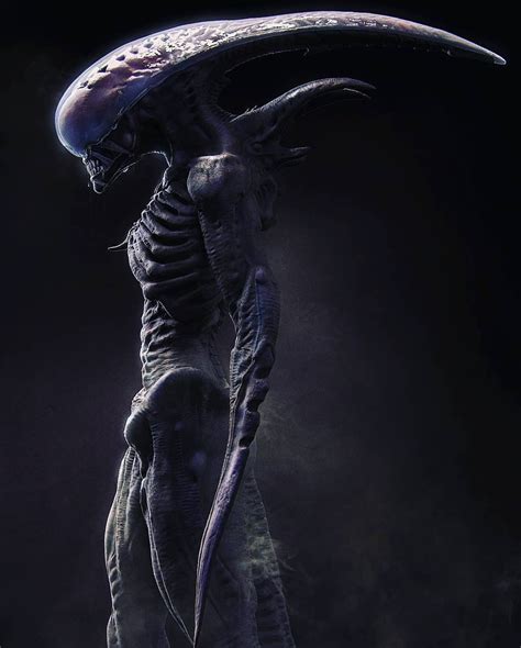 Fan Art Spotlight Alien Neomorph And Bull Xenomorph Concepts