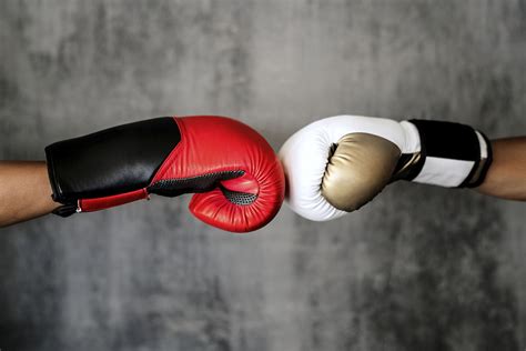 Boxing Glove Fist Bump Isolated Premium Photo Rawpixel