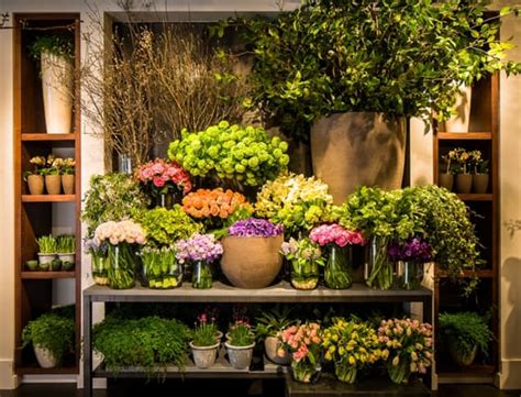 Check spelling or type a new query. WINSTON FLOWERS - BACK BAY - 128 Photos & 141 Reviews ...