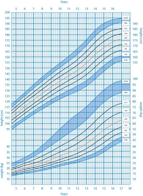 Baby Growth Chart Boy Template Business