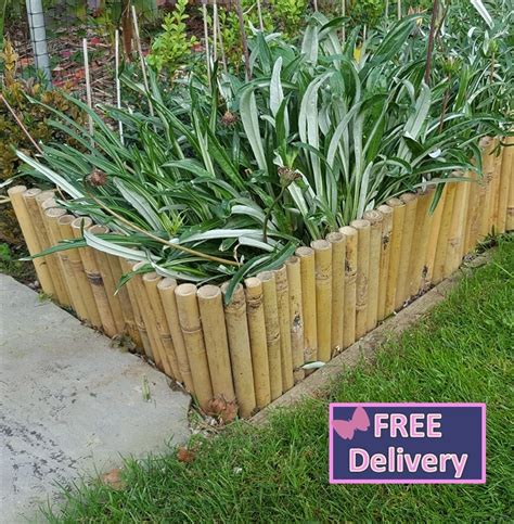 Decorative Bamboo Edging 6 Pack The Garden Factory