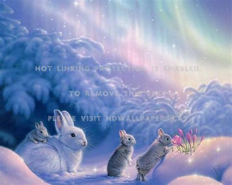 Cute Winter Bunnies Four Bunny Snow Flowers Ayii