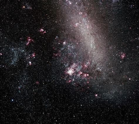 Large Magellanic Cloud Telescope Live