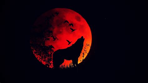 Shahmen red wolf wallpaper by pepzwee on deviantart. Download wallpaper 2048x1152 wolf, howl, silhouette, full ...