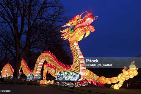 中国の竜 オランダ エメンのストックフォトや画像を多数ご用意 オランダ エメン 竜 中国 istock