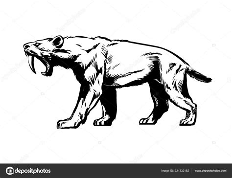 Saber Toothed Tiger Smilodon Saber Toothed Cat Hand Drawn Sketch