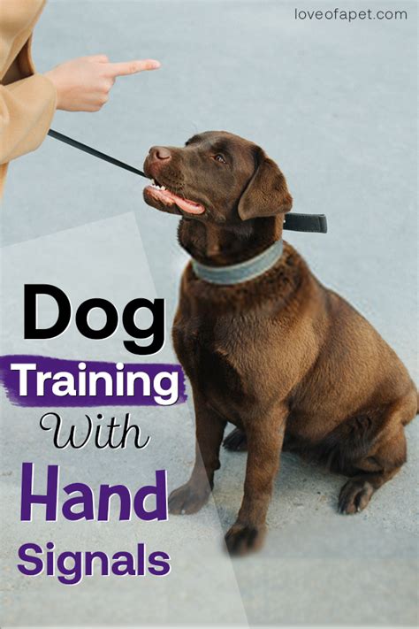 Hand Signals For Dogs Chart