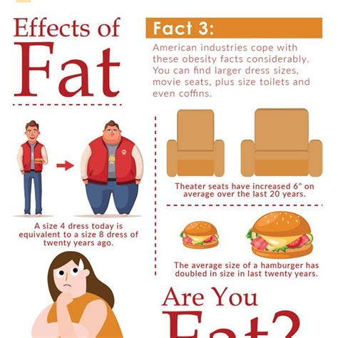 Facts About Obesity In The United States Best Infographics