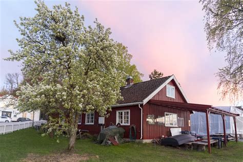 Spring In Son Norway Ingunn Eriksen Flickr