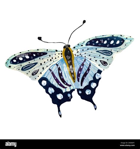 Butterfly Blue Violet Sketch A Watercolor Isolated Stock Photo Alamy