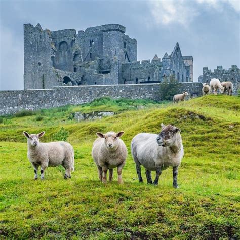 Top 10 Places To Visit On Your Trip To Ireland Travel Off Path
