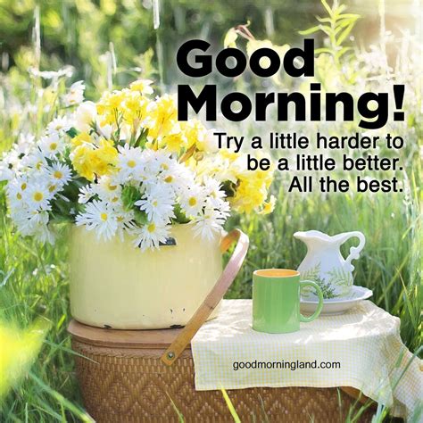 Most Downloaded And Good Morning Wishes And Images Good Morning