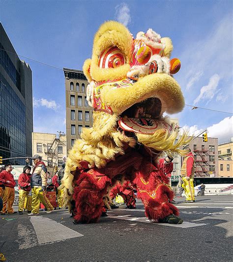 The Dragon Of The Chinese New Year