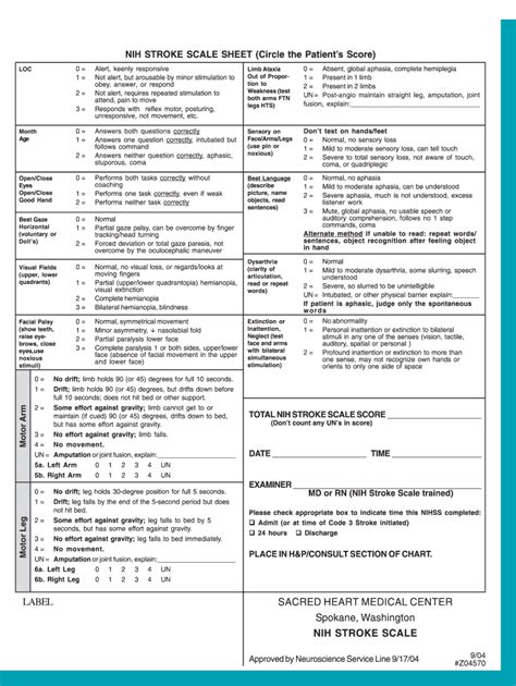 Nih Stroke Scale Pdf Printable Fill Online Printable