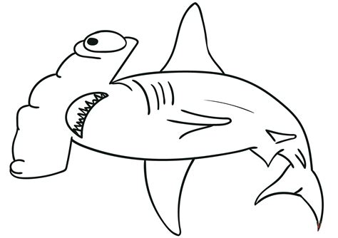 Hammerhead Shark Has A Hammer Like Shape Coloring Page Free Printable