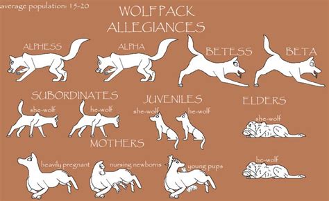 Wolf Pack Ranks Wolf Pack Ranks Wolf Pack Wolf