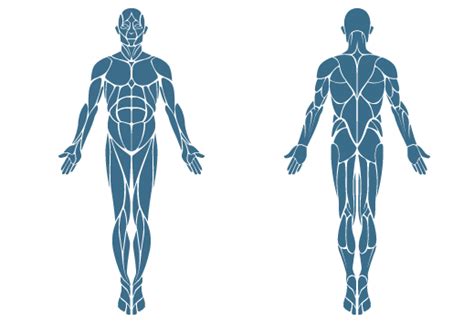 The spinal cord, which controls over 10 billion nerve cells, is less than two feet in length and its diameter is same as that of the index finger. If you know anything I should add to my list, please let ...