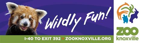 Zoo Knoxville Launches Wildly Fun New Brand And Announces Gorilla Pregnancy