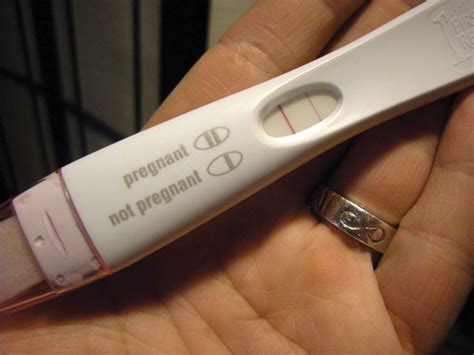Student Health Services Astounded By Positive Pregnancy Test Student Life