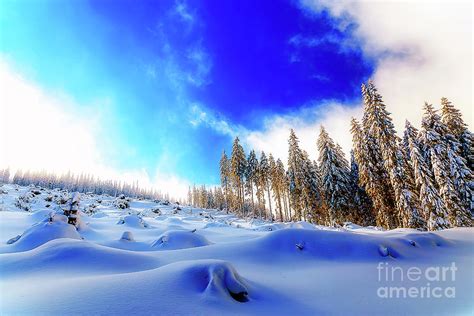 Beautiful Mountain Snowy Landscape And Snow Covered Trees Beautiful