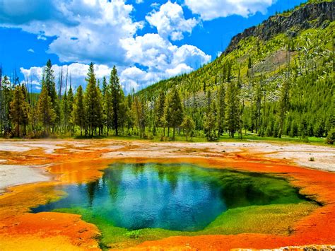Para Perderte Yellowstone National Park Wyoming Usa Aznalfarache