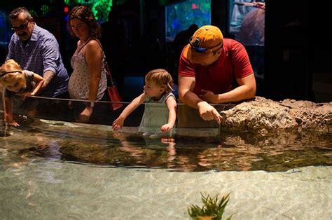 10 Exciting Things To Do With Kids In Greensboro