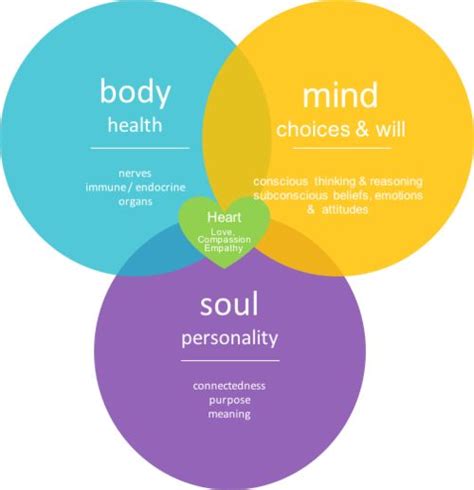 Body Mind Heart And Soul Mind Body Mind Body Soul Connection Mindfulness