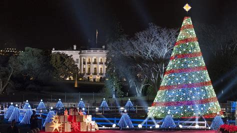 Conoce Los 9 árboles De Navidad Más Grandes Del Mundo ¡son Hermosos Difundirorg
