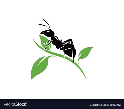 Ant Logo 10 Free Cliparts Download Images On Clipground 2023