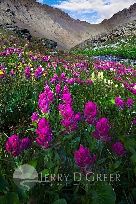 Clear Lake Basin San Juan Mountains Of Colorado In 2020 Colorado