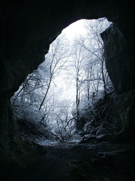 Exit From The Cave To The Forest Beautiful Images Image Celestial