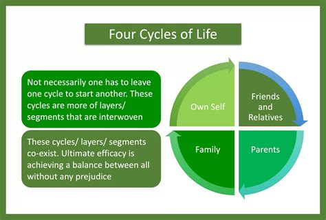 Four Stages Of Life Cycle