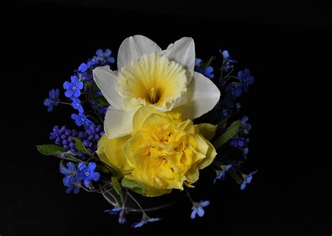 Фото весенние цветы романтика фоновое изображение - бесплатные картинки ...