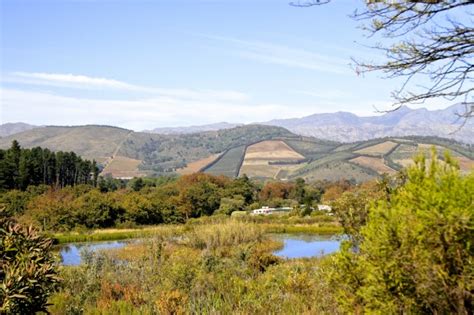 Everything South Africa Helderberg Nature Reserve