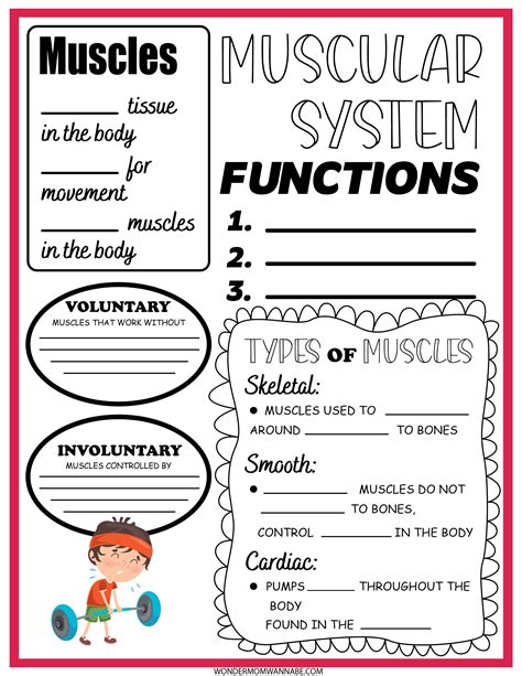 This Muscular System Activity Set Includes Five Fun Educational