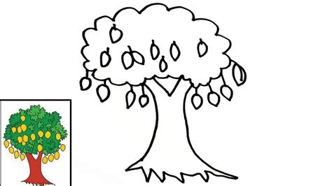 Dijamin Lolos Menggambar Pohon Mangga Psikotes Yang Mudah How To