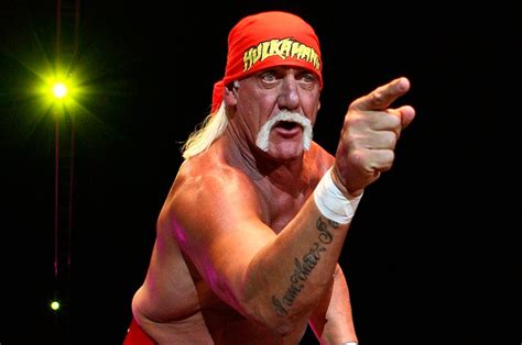 Hulk Hogan Awarded Million In Sex Tape Lawsuit Against Gawker Nme