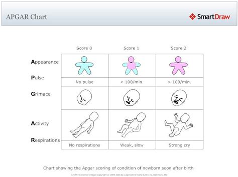 Apgar Scoring Chart Nclex Midwifery