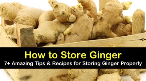 7 Brilliant Ways To Store Ginger In 2020 How To Store Ginger Storing Fresh Ginger Ginger