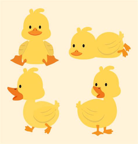 340 Ducklings Walking Stock Illustrations Royalty Free Vector