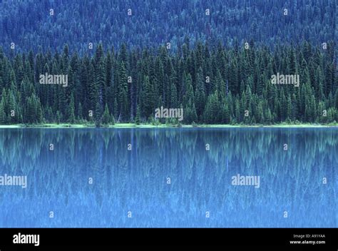 Emerald Lake Yoho Np Bc Canada Stock Photo Alamy