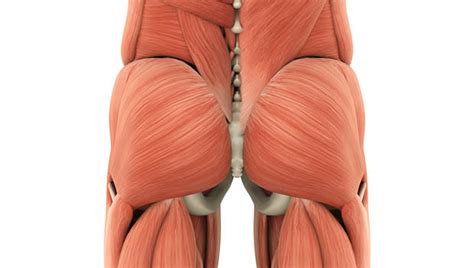 Piriformis Syndrome Stretches For Runners