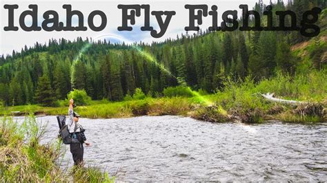 Fly Fishing Small Creek Loaded With Trout Idaho Fly Fishing Youtube