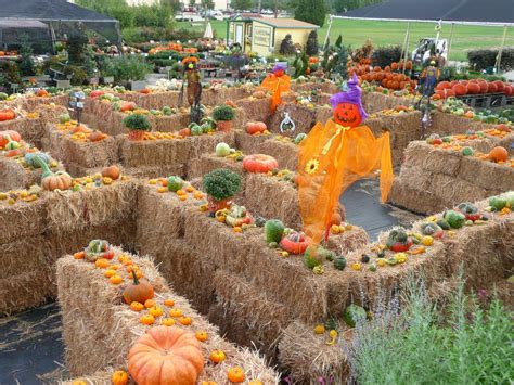 Fall Festival To Feature Hayride Maze Petting Zoo Blue Ribbon News