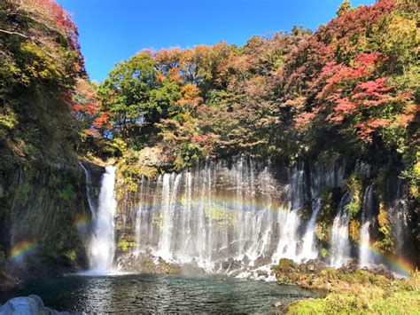 Mtfuji And Autumn Leaves At Shiraito Falls 1 Minute Traveller