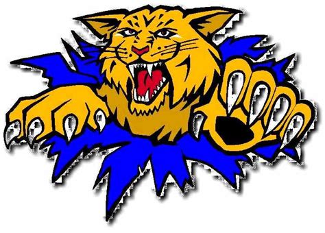 Free Wildcat Football Cliparts Download Free Wildcat Football Cliparts