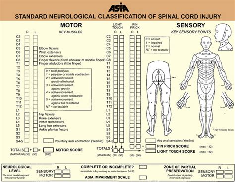 Spinal Cord Injury Neupsy Key