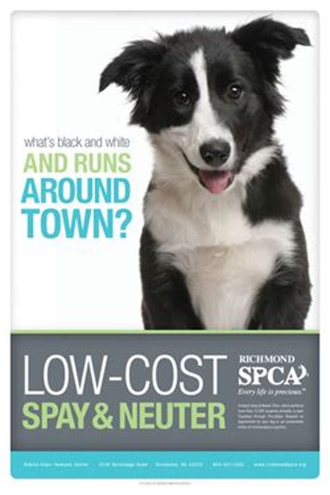  funny spay neuter poster. Share these images to capture attention for spay/neuter ...